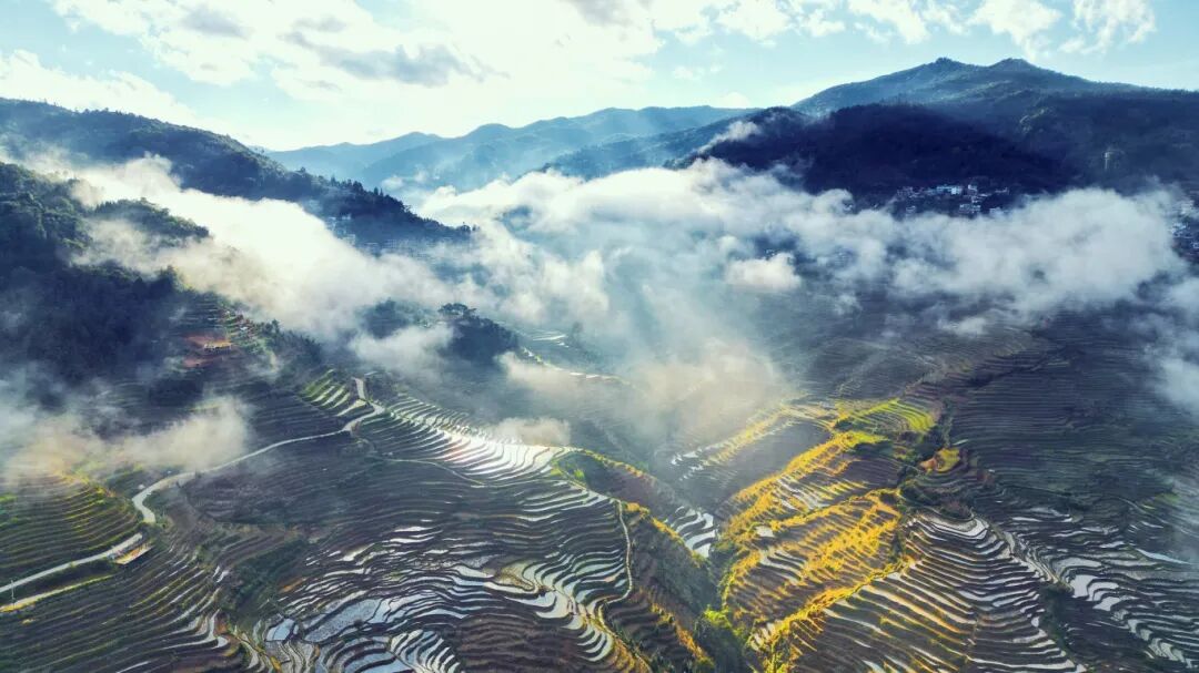 梯田.jpg